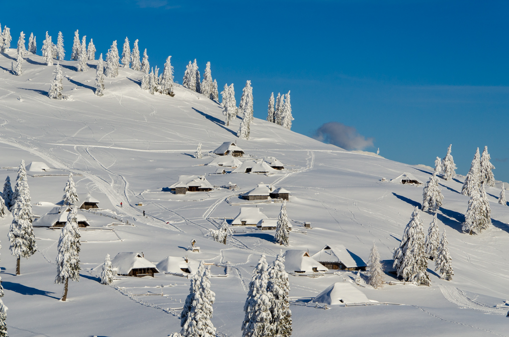 Velika Planina